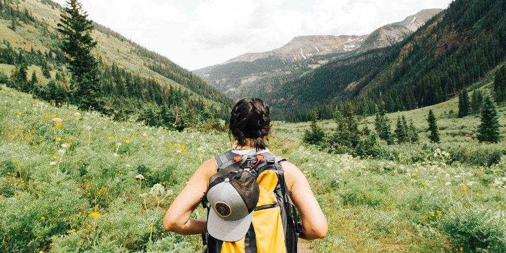 person carrying yellow and black backpack walking between green plants